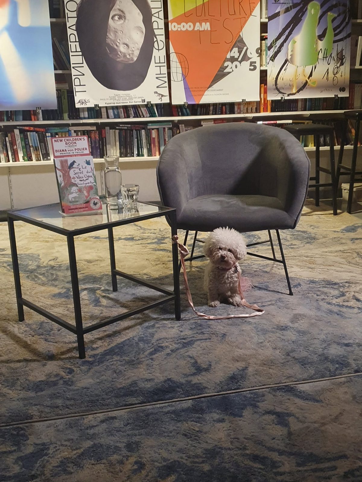 Book presentation in a Tbilisi bookshop